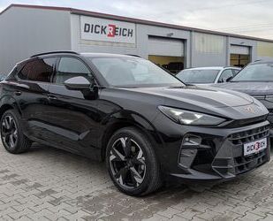 Cupra Terramar Gebrauchtwagen