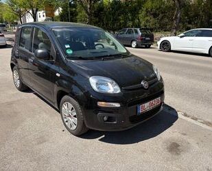 Fiat New Panda Gebrauchtwagen