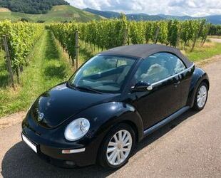 VW New Beetle Gebrauchtwagen