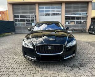 Jaguar XF Gebrauchtwagen