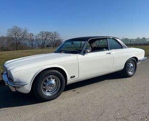 Jaguar XJ6 Gebrauchtwagen