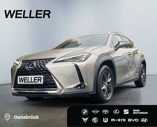 Lexus UX Gebrauchtwagen