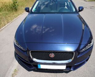 Jaguar XE Gebrauchtwagen
