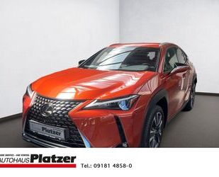 Lexus UX Gebrauchtwagen