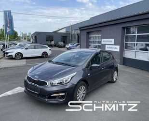 Kia ceed / Ceed Gebrauchtwagen