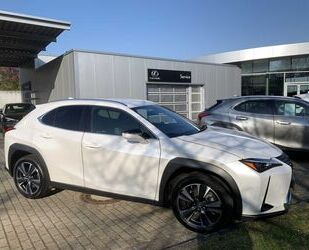 Lexus UX Gebrauchtwagen