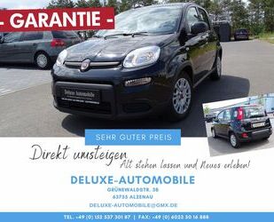 Fiat Panda Gebrauchtwagen