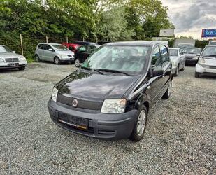 Fiat Panda Gebrauchtwagen