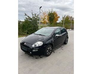 Fiat Punto Gebrauchtwagen