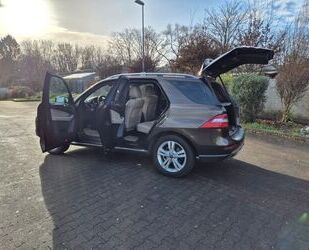 Mercedes-Benz ML 350 Gebrauchtwagen