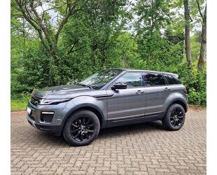 Land Rover Range Rover Evoque Gebrauchtwagen
