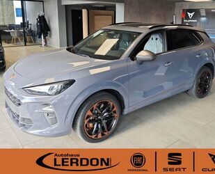 Cupra Terramar Gebrauchtwagen