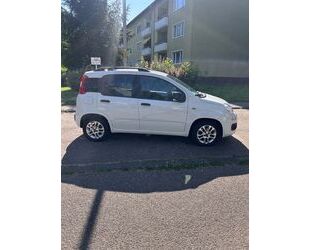 Fiat New Panda Gebrauchtwagen