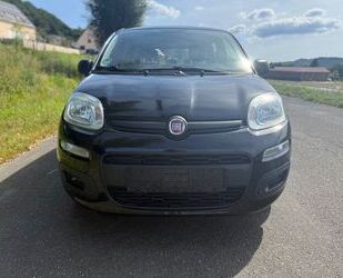 Fiat Panda Gebrauchtwagen