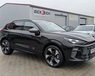 Cupra Terramar Gebrauchtwagen