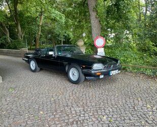 Jaguar XJS Gebrauchtwagen