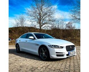 Jaguar XE Gebrauchtwagen