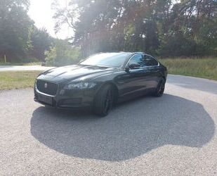 Jaguar XF Gebrauchtwagen