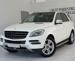Mercedes-Benz ML 350 Gebrauchtwagen