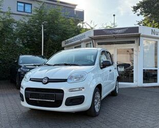 Fiat Panda Gebrauchtwagen
