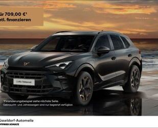 Cupra Terramar Gebrauchtwagen
