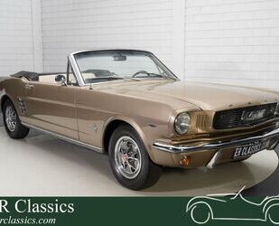 Ford Mustang Gebrauchtwagen