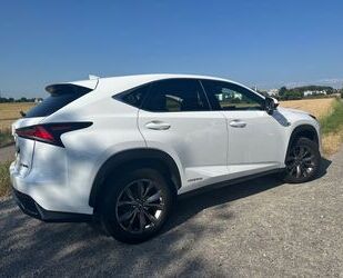 Lexus NX 300 Gebrauchtwagen