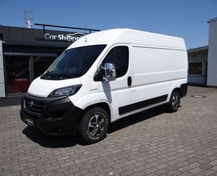 Fiat Ducato Gebrauchtwagen