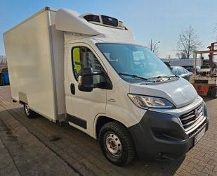 Fiat Ducato Gebrauchtwagen
