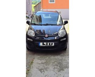 Fiat New Panda Gebrauchtwagen