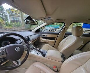 Jaguar XF Gebrauchtwagen