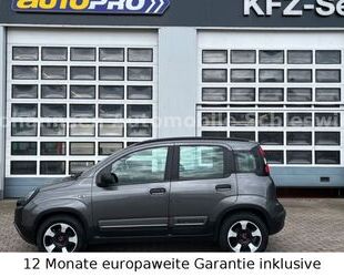 Fiat Panda Gebrauchtwagen