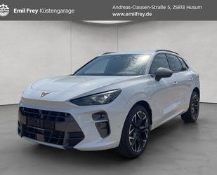 Cupra Terramar Gebrauchtwagen