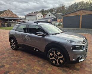 Citroen C4 Cactus Gebrauchtwagen