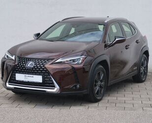 Lexus UX Gebrauchtwagen
