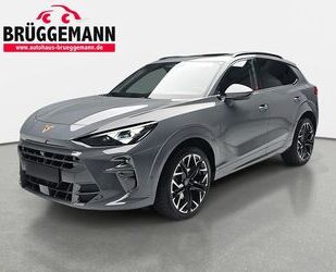 Cupra Terramar Gebrauchtwagen