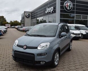 Fiat Panda Gebrauchtwagen