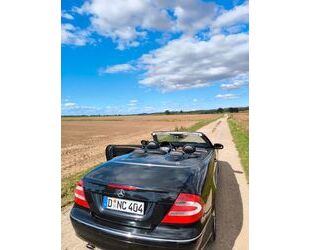 Mercedes-Benz CLK 240 Gebrauchtwagen