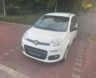 Fiat New Panda Gebrauchtwagen