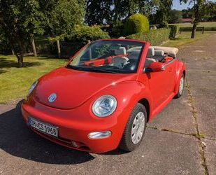 VW New Beetle Gebrauchtwagen