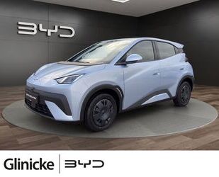 BYD DOLPHIN Gebrauchtwagen