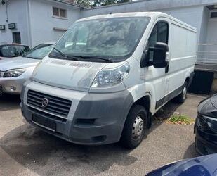 Fiat Ducato Gebrauchtwagen