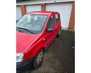 Fiat Panda Gebrauchtwagen