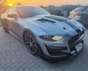 Ford Mustang Gebrauchtwagen