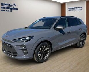 Cupra Terramar Gebrauchtwagen