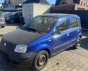 Fiat New Panda Gebrauchtwagen
