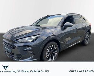 Cupra Terramar Gebrauchtwagen