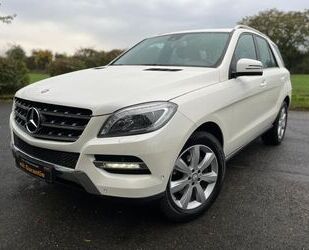 Mercedes-Benz ML 250 Gebrauchtwagen