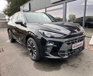 Cupra Terramar Gebrauchtwagen