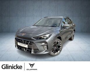 Cupra Terramar Gebrauchtwagen